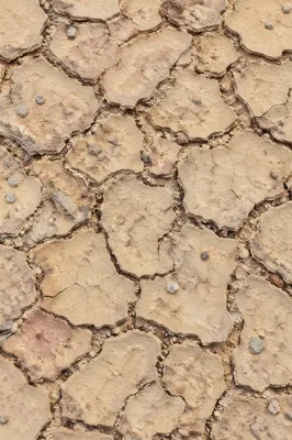 Cracked Desert Mud Texture Background