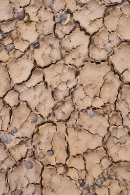 Parched Desert Mud Crack Texture Background