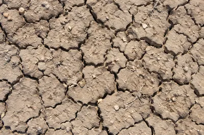 Cracked Desert Mud Texture Background