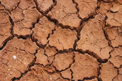 Cracked Desert Mud Texture Background