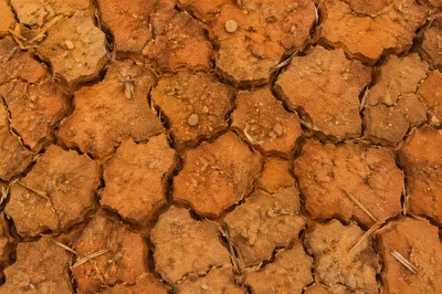 Cracked Desert Mud Earth Texture