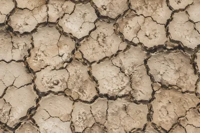Cracked Desert Mud Texture Background