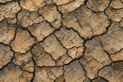 Cracked Desert Mud Texture Background
