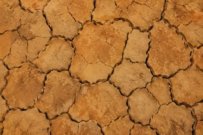 Cracked Desert Mud Texture Background