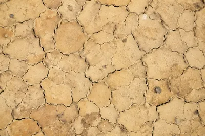 Cracked Desert Mud Texture Background