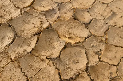 Cracked Desert Earth Dry Mud Texture