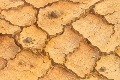 Cracked Desert Mud Texture at Golden Hour