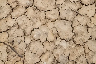 Cracked Desert Mud Texture Background