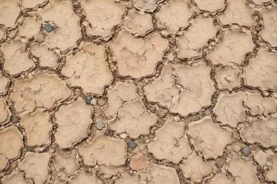Cracked Desert Mud Texture Background