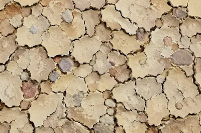 Parched Desert Mud Crack Texture Background