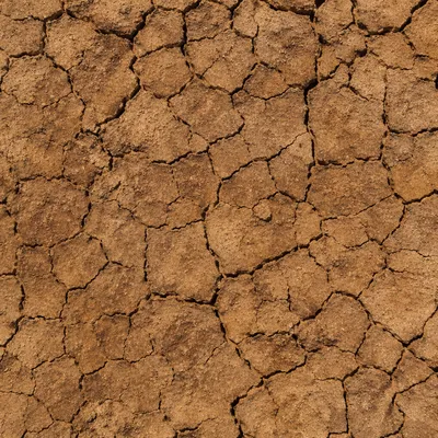 Cracked Desert Mud Texture Background