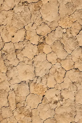 Cracked Desert Mud Texture Background