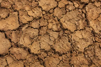 Parched Desert Mud Cracked Earth Texture