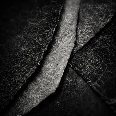 Charcoal Torn Paper Moody Texture