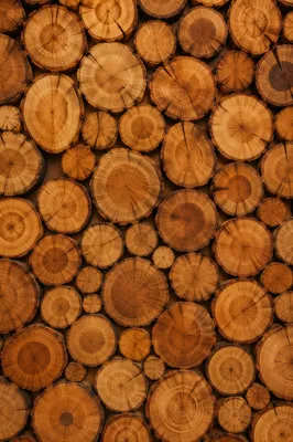 Rustic Dark Wood Log Slice Background