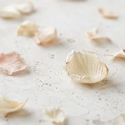 Dried Flower Petals on White Stone