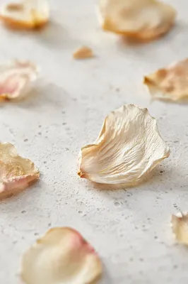 Dried Flower Petals on White Stone