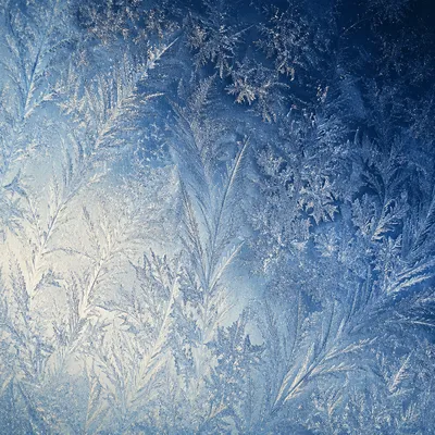 Winter Frost Crystals on Blue Glass