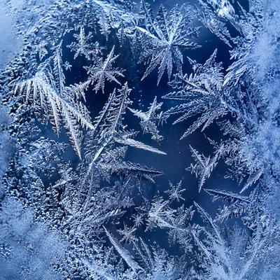 Midnight Blue Frost Crystals on Glass