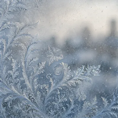Delicate Frost Crystals on Winter Glass