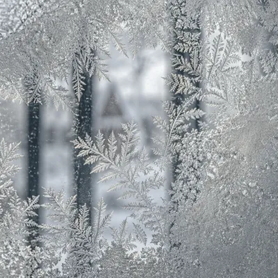 Winter Frost Crystals on Cold Window Glass