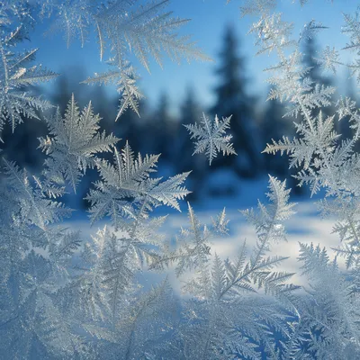 Winter Frost Crystals on Cold Glass