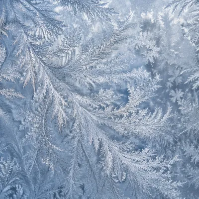 Winter Frost Crystal Glass Texture