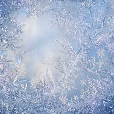 Intricate Winter Frost Crystals on Glass