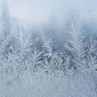 Delicate Winter Frost Crystal Glass Background