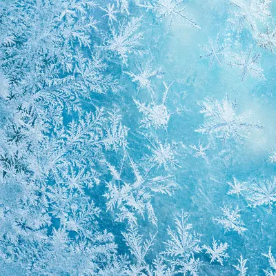 Turquoise Frost Crystal Pattern on Winter Glass