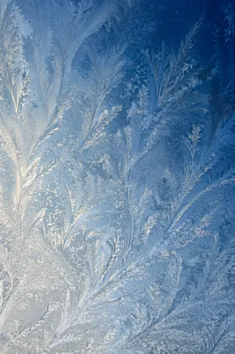 Icy Frost Crystals on Winter Glass