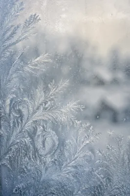Delicate Ice Crystal Frost Window Texture