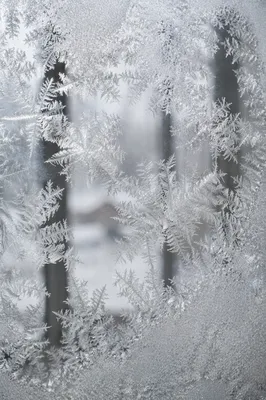 Winter Frost Crystal Window Texture