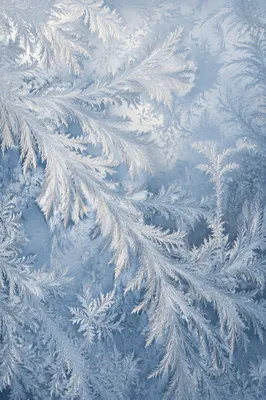 Delicate Winter Frost Patterns on Glass