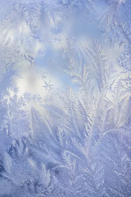 Intricate Winter Frost Crystal Glass Texture