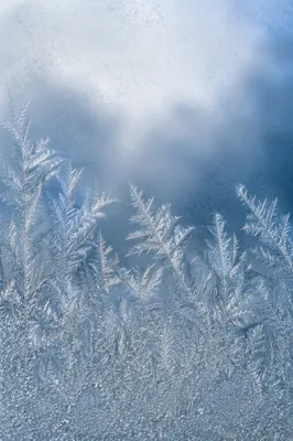 Delicate Winter Frost Crystals on Glass