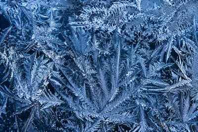 Midnight Blue Frost Crystals on Glass