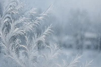Delicate Ice Crystal Frost Window Texture