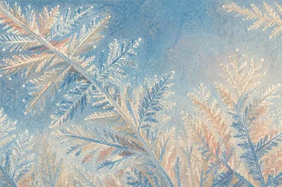 Delicate Winter Frost Crystals on Glass