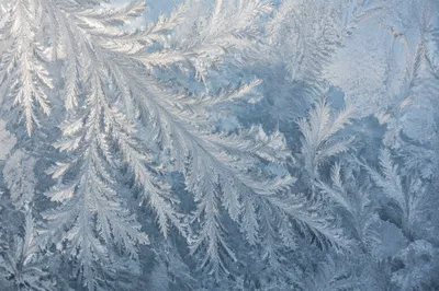 Winter Frost Crystals on Cold Glass