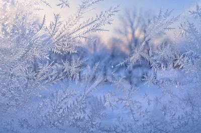 Winter Ice Crystal Frost Glass Background