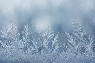 Delicate Winter Frost Crystals on Glass