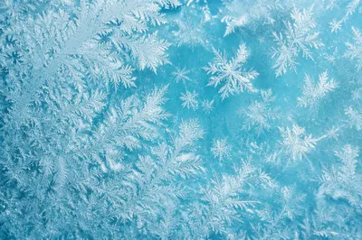 Turquoise Frost Crystals on Winter Glass