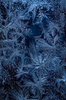 Midnight Blue Frost Crystals on Glass