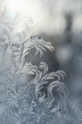 Delicate Frost Crystals on Winter Glass