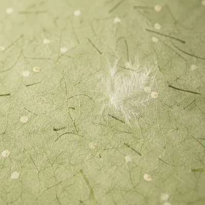 Spring Green Washi Paper Fiber Texture