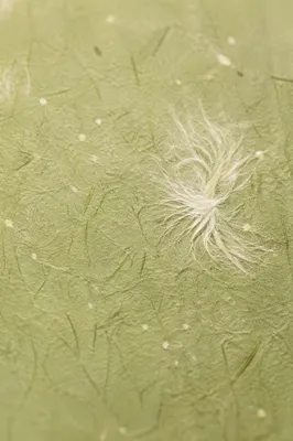 Spring Green Washi Paper Fiber Texture