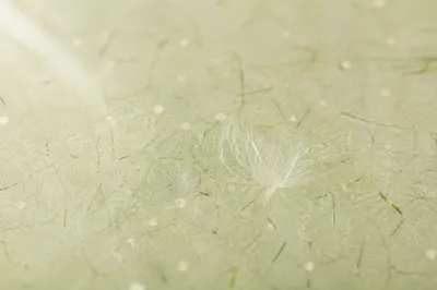Spring Green Washi Paper Fiber Texture