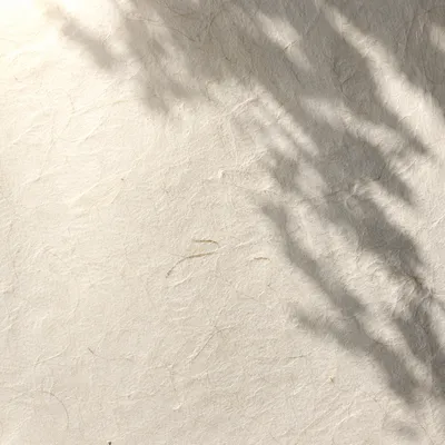Washi Paper Texture With Soft Leaf Shadows
