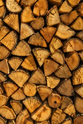 Warm Rustic Firewood Texture Background